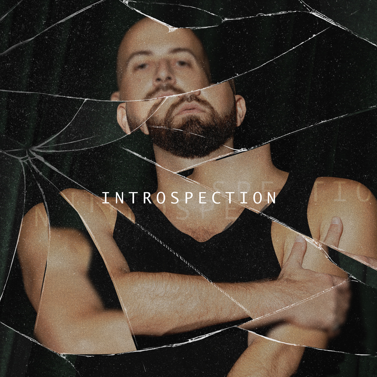 Introspection by Philip La Rosa