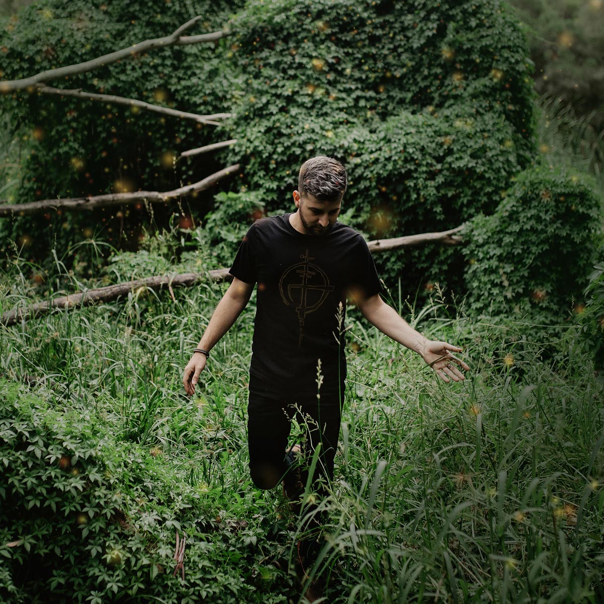 Fable by Philip La Rosa