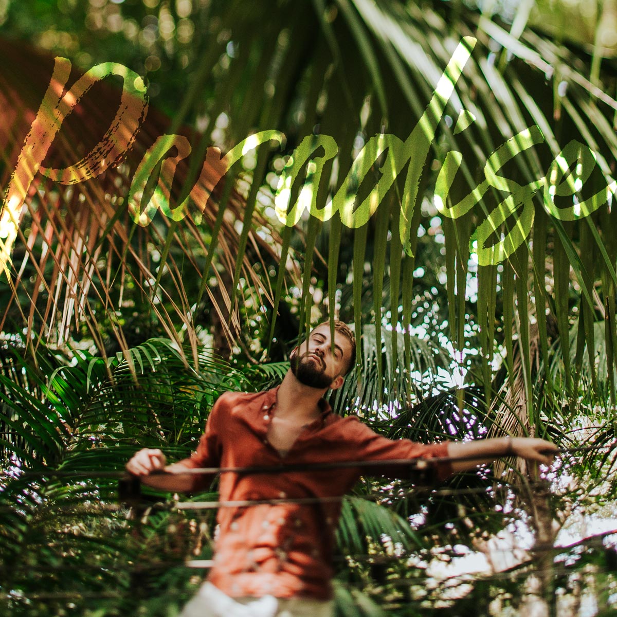 Paradise by Philip La Rosa